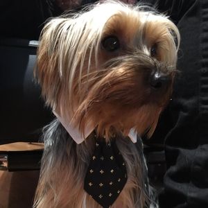 Meet your Posher, Mitchell